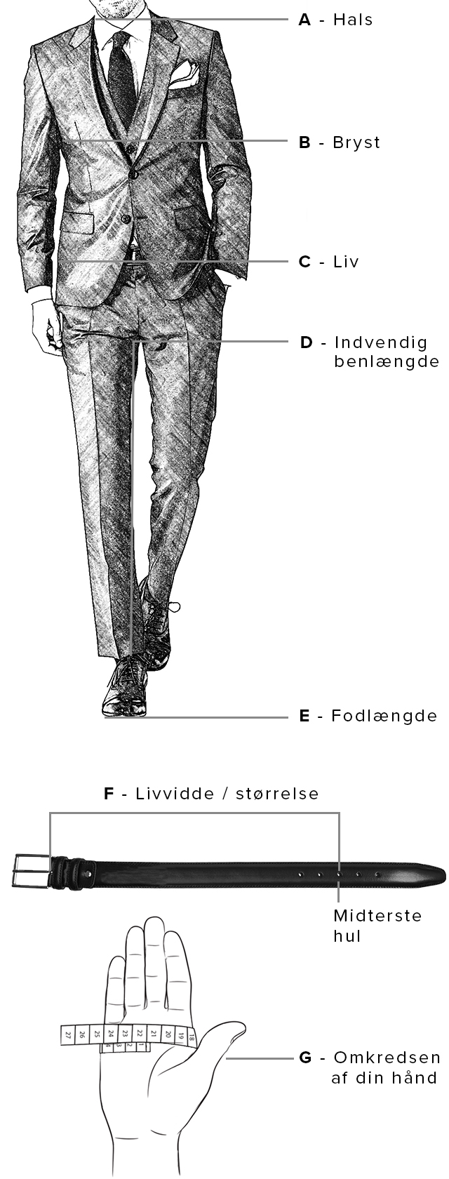 Størrelsesguide