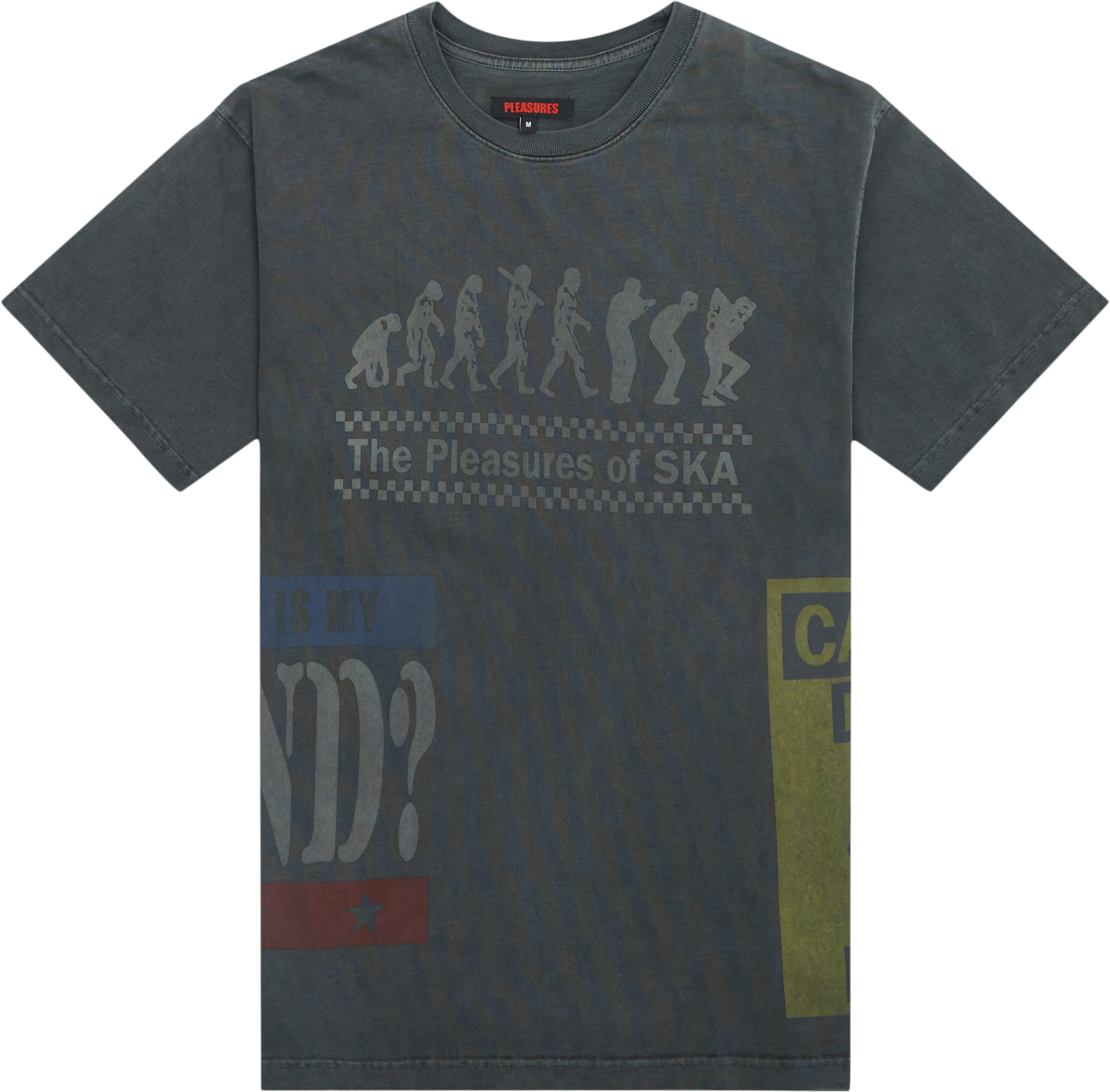 Pleasures Evolution Heavy Tee