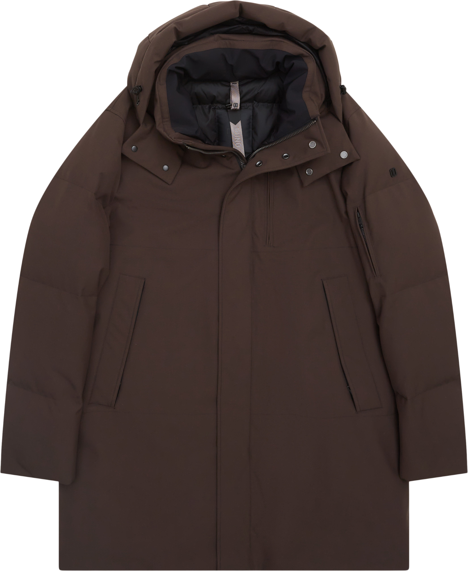 Duno Geiser P Palmer