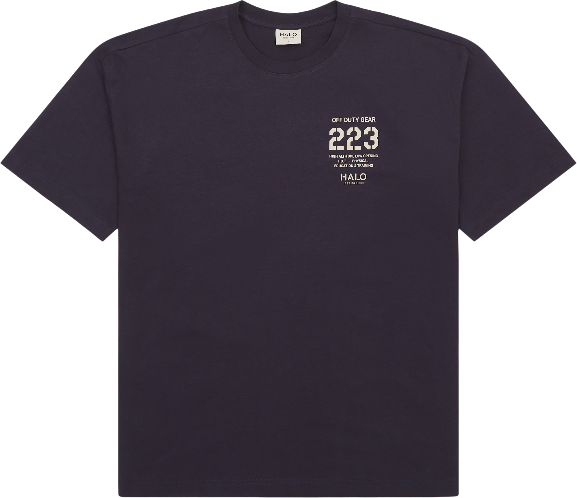 HALO Graphic Boxy Tee