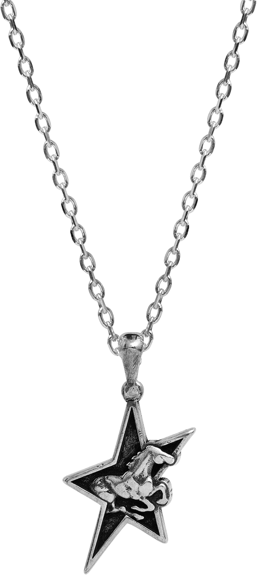 TwoJeys Star Horse Necklace