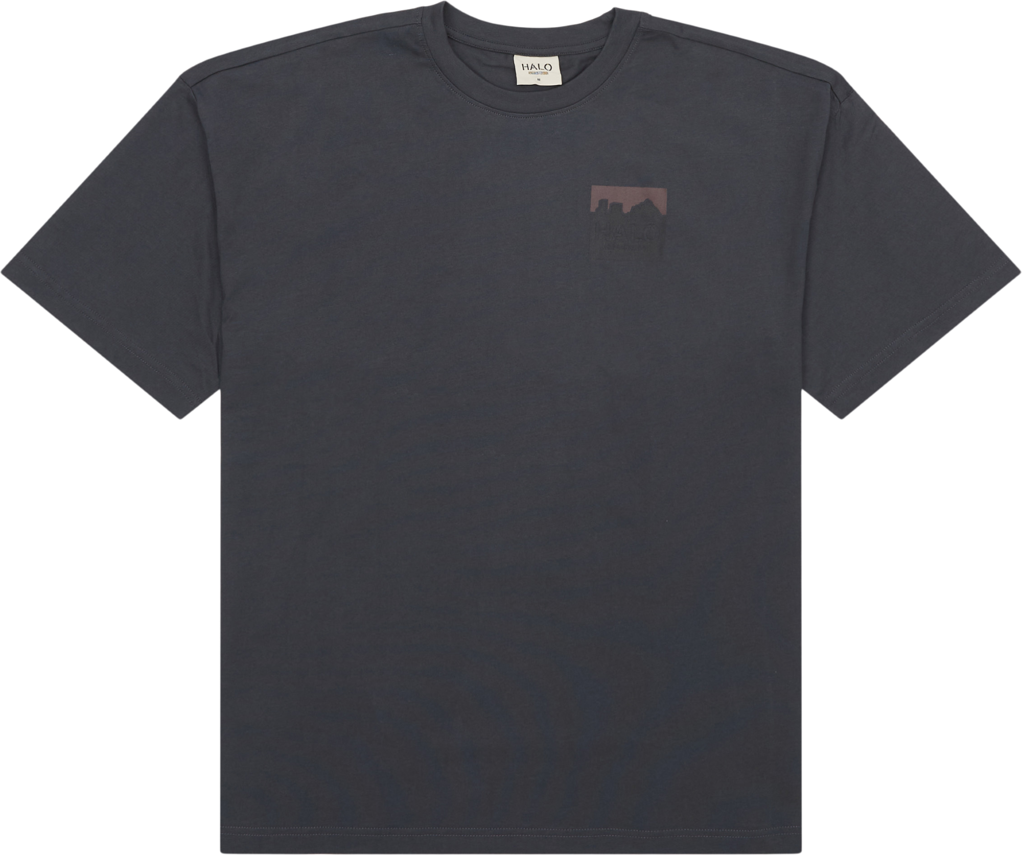 HALO Graphic Boxy Tee