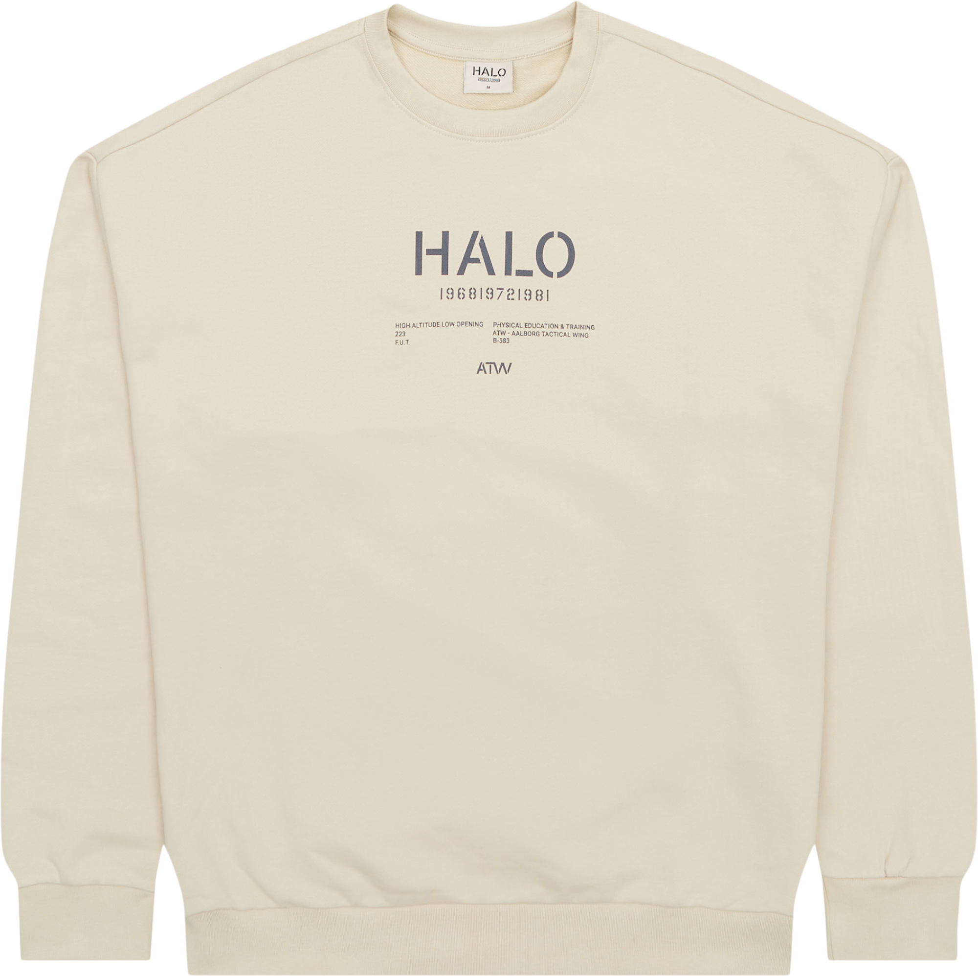 HALO GRAPHIC BOXY CREW 230419 SWEAT