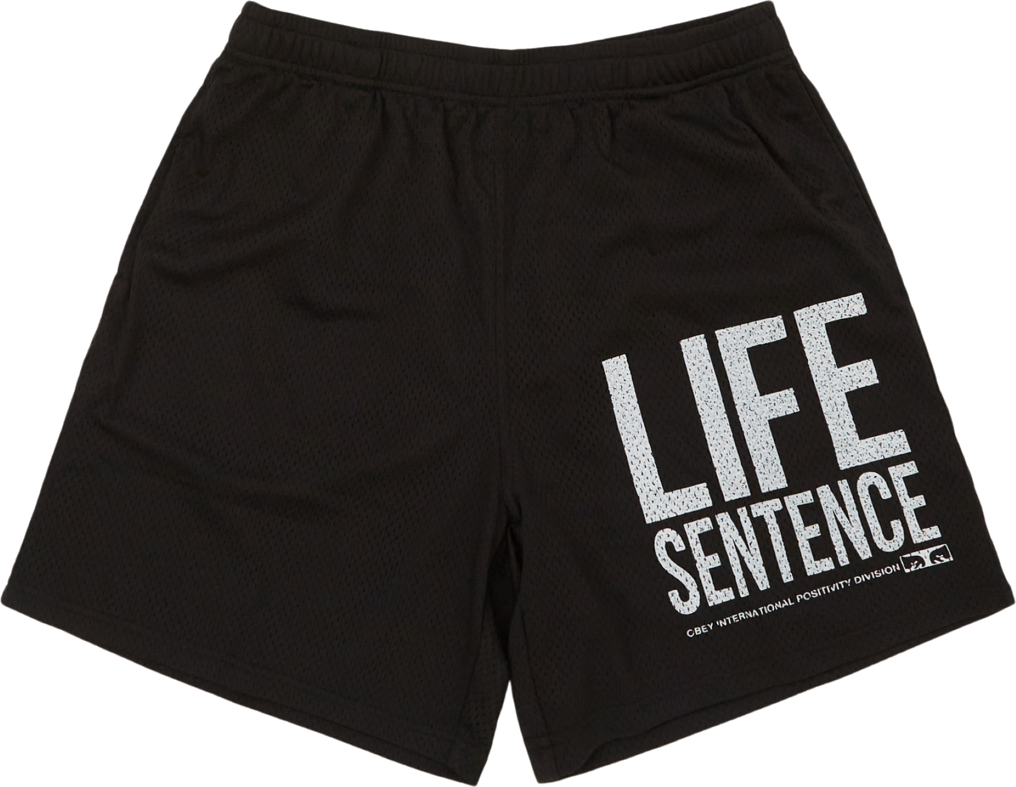Obey Bigwish Mesh 172120115 Shorts