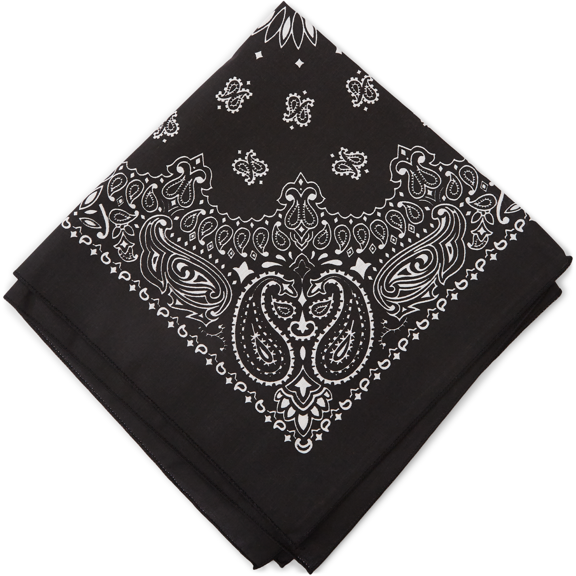 qUINT Bandana Paisley