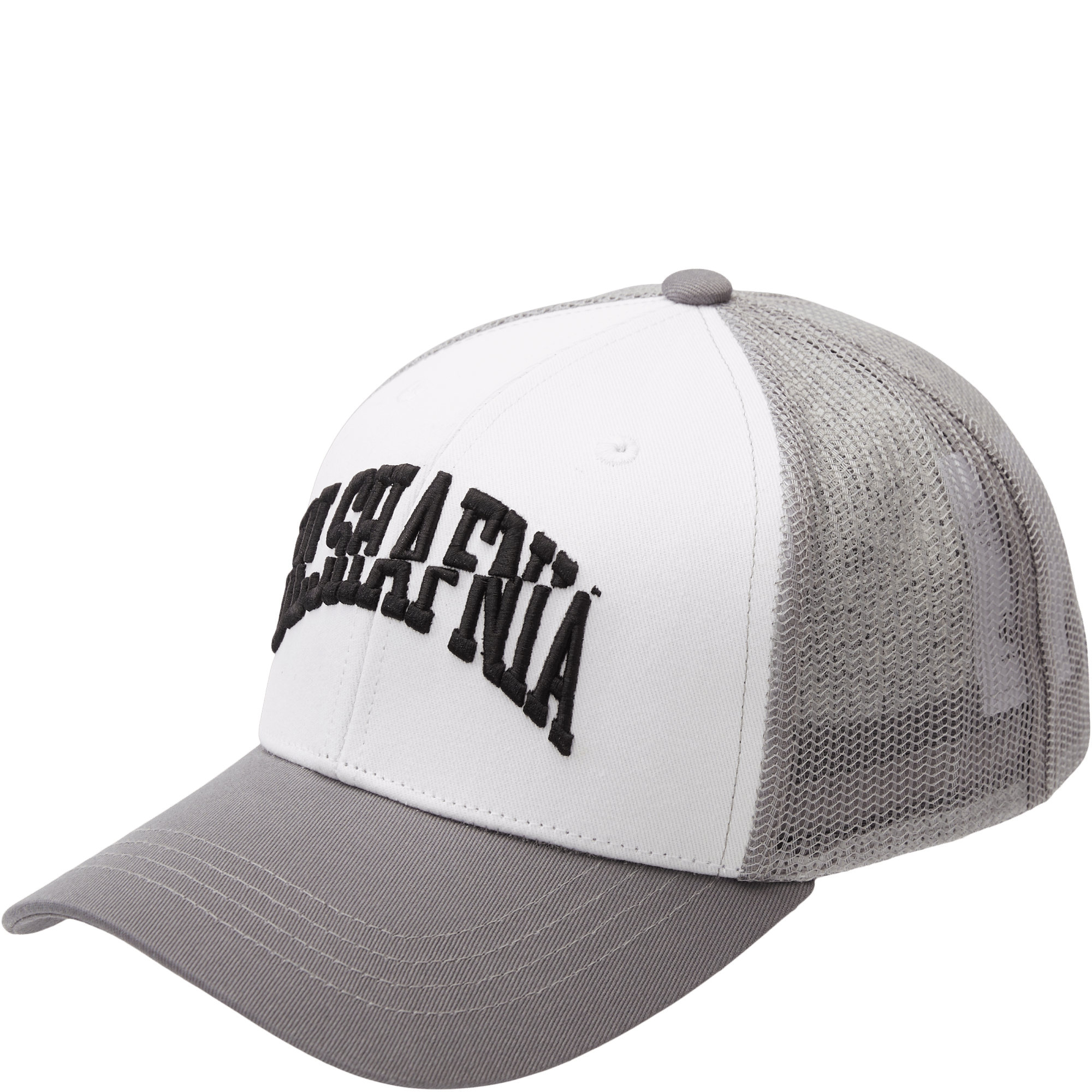 BLS DROPOUT TRUCKER 20250353 CAP (