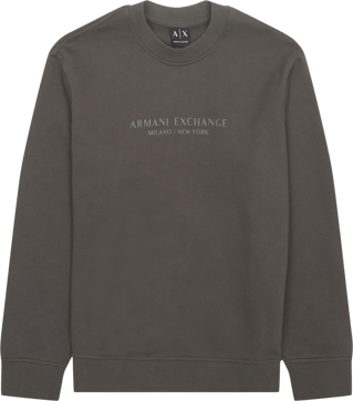 Regular Fit / Af20934 Sweatshirt / Grå