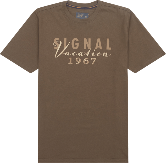 Signal