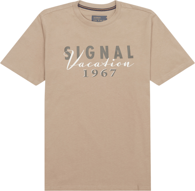 Signal