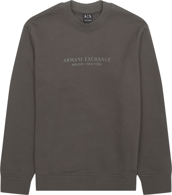 Regular Fit / Af20934 Sweatshirt / Grå