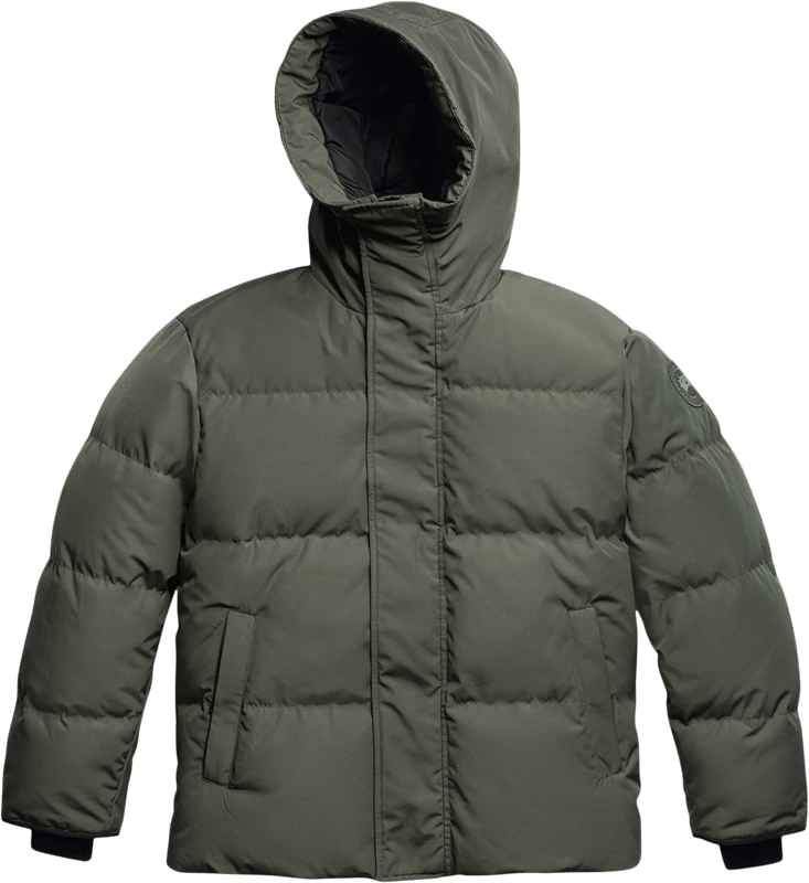 Canada Goose