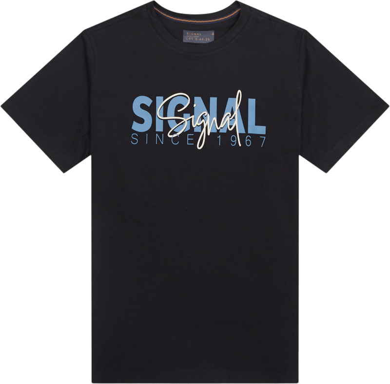 Signal