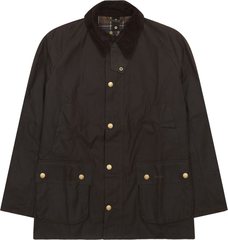 Barbour