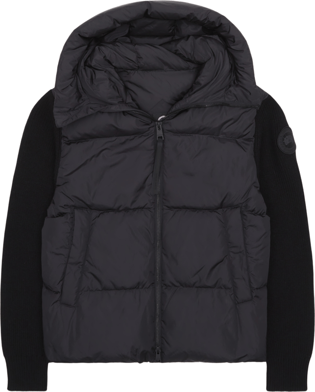 Canada Goose