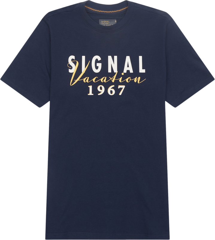 Signal