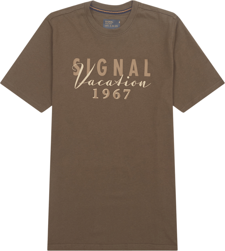 Signal