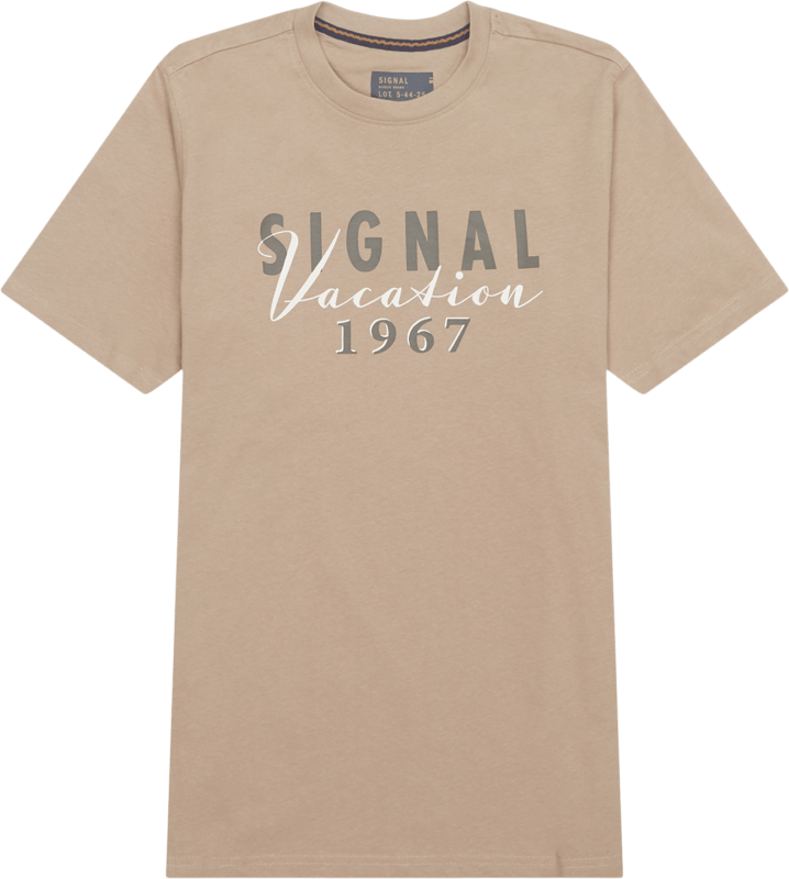 Signal