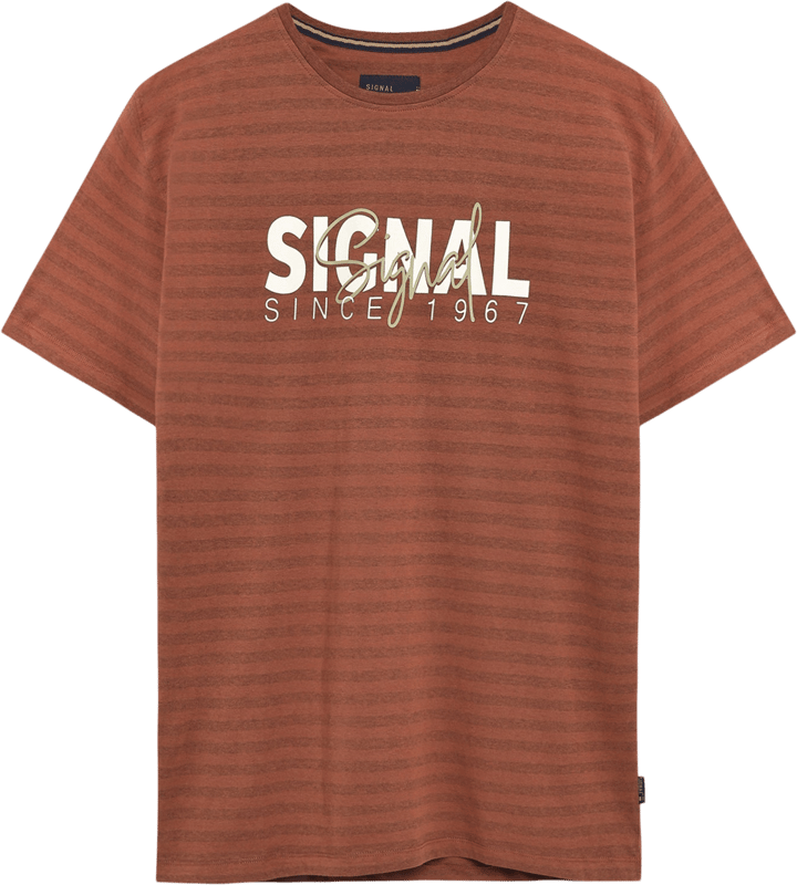 Signal