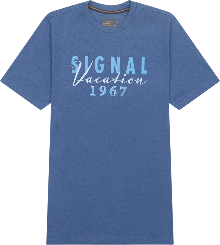 Signal