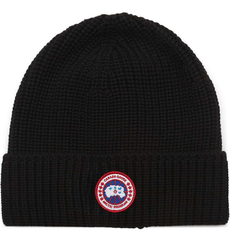 Canada Goose