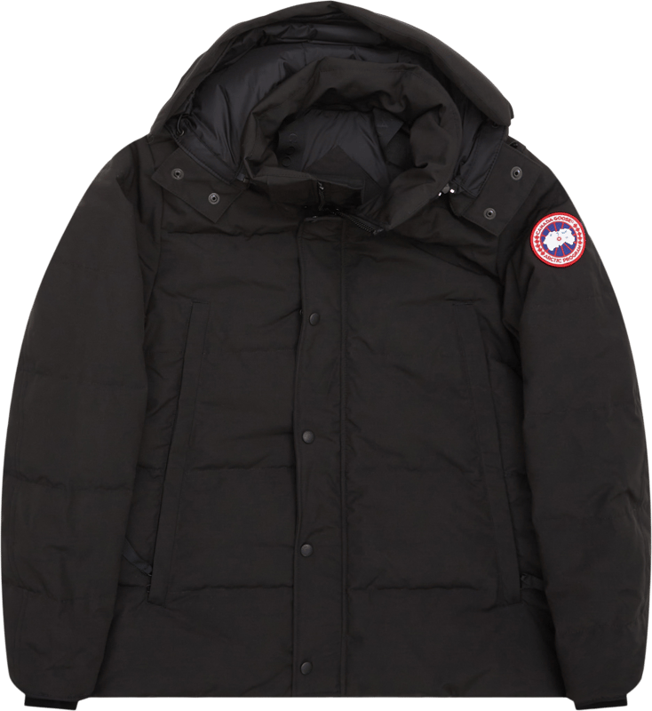 Canada Goose