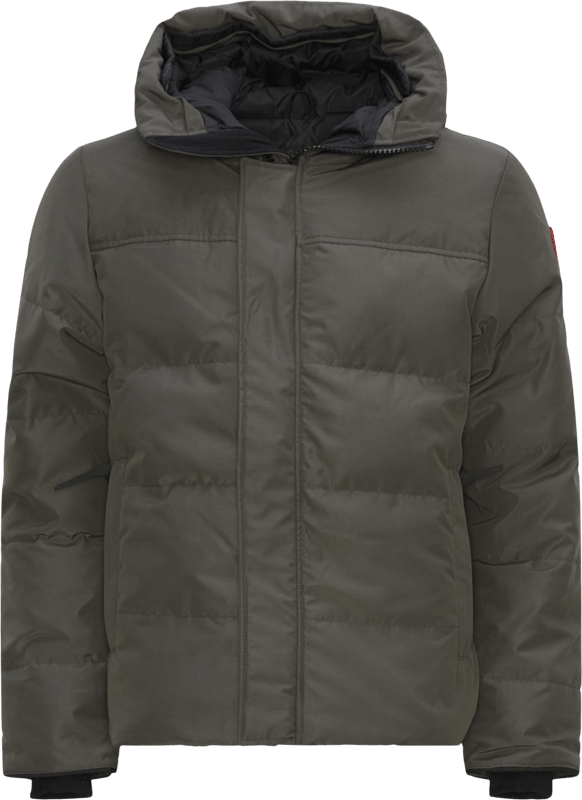 Canada Goose