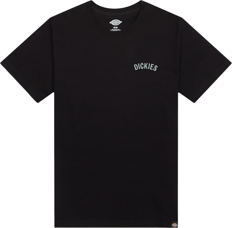 Dickies