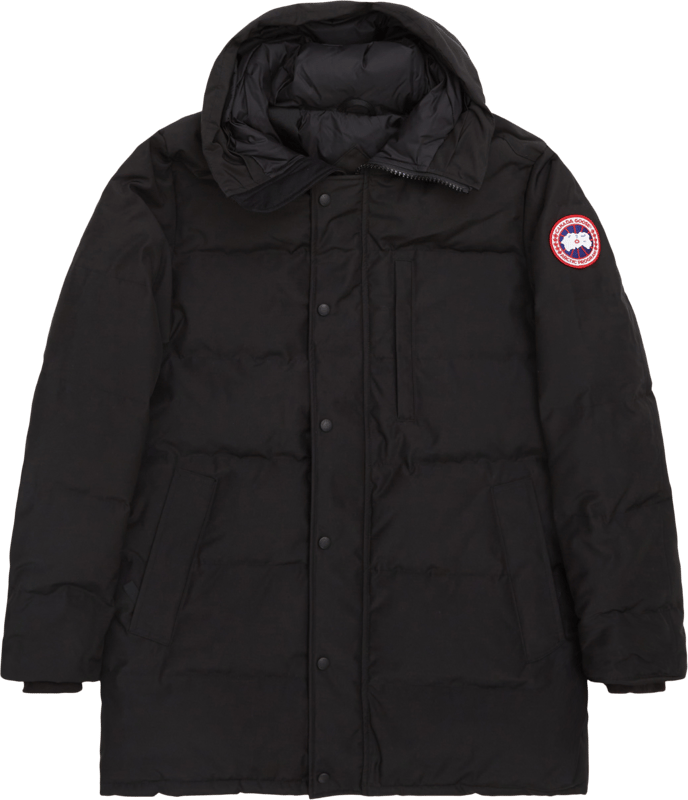 Canada Goose