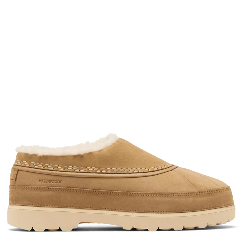 Sorel