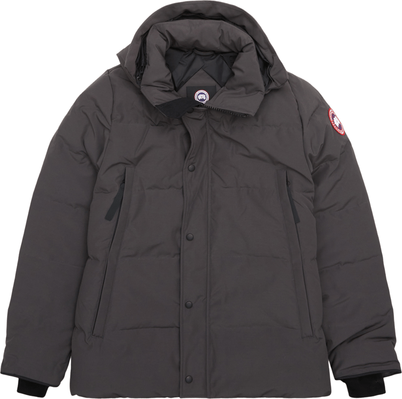 Canada Goose