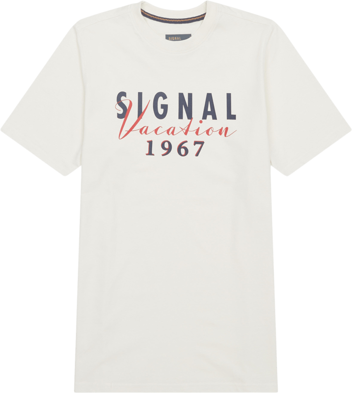 Signal