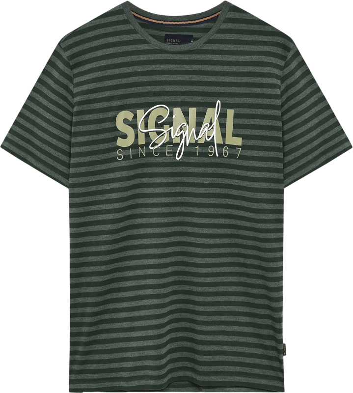 Signal