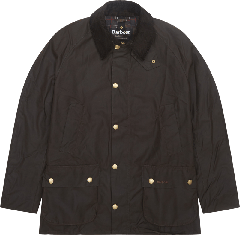 Barbour