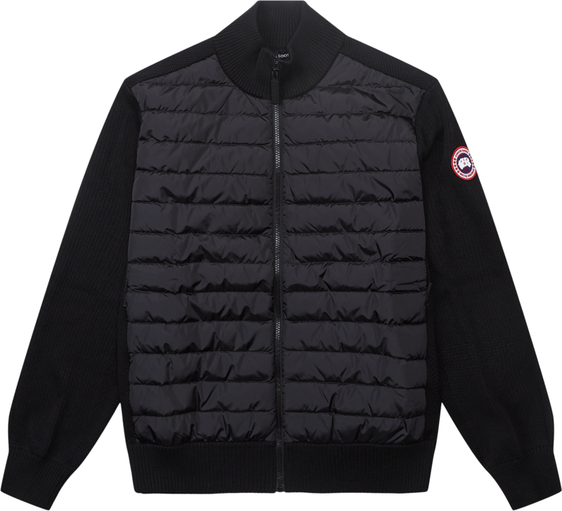 Canada Goose