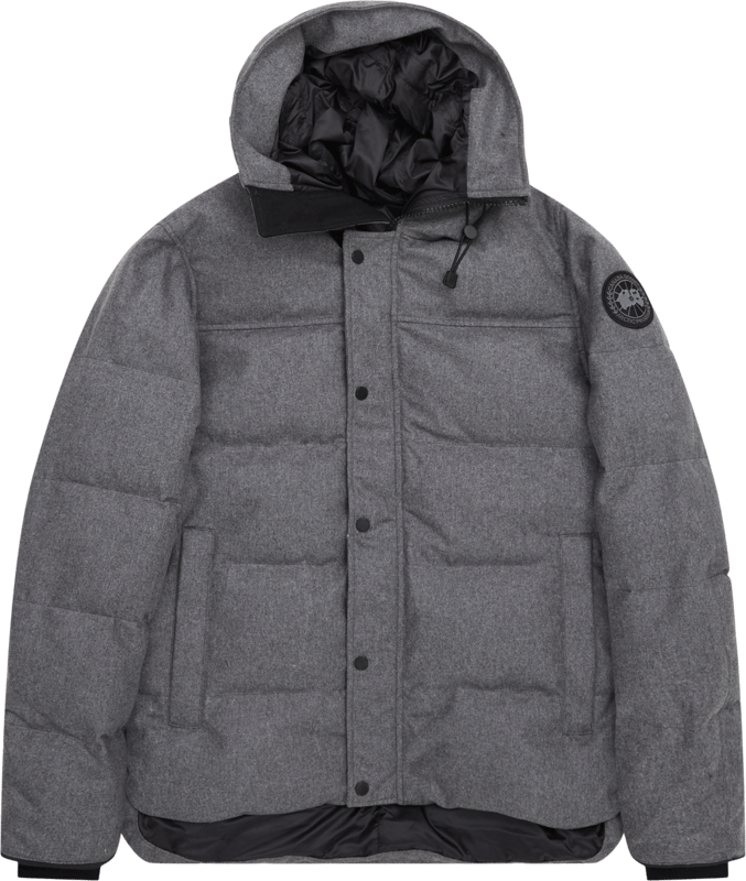 Canada Goose