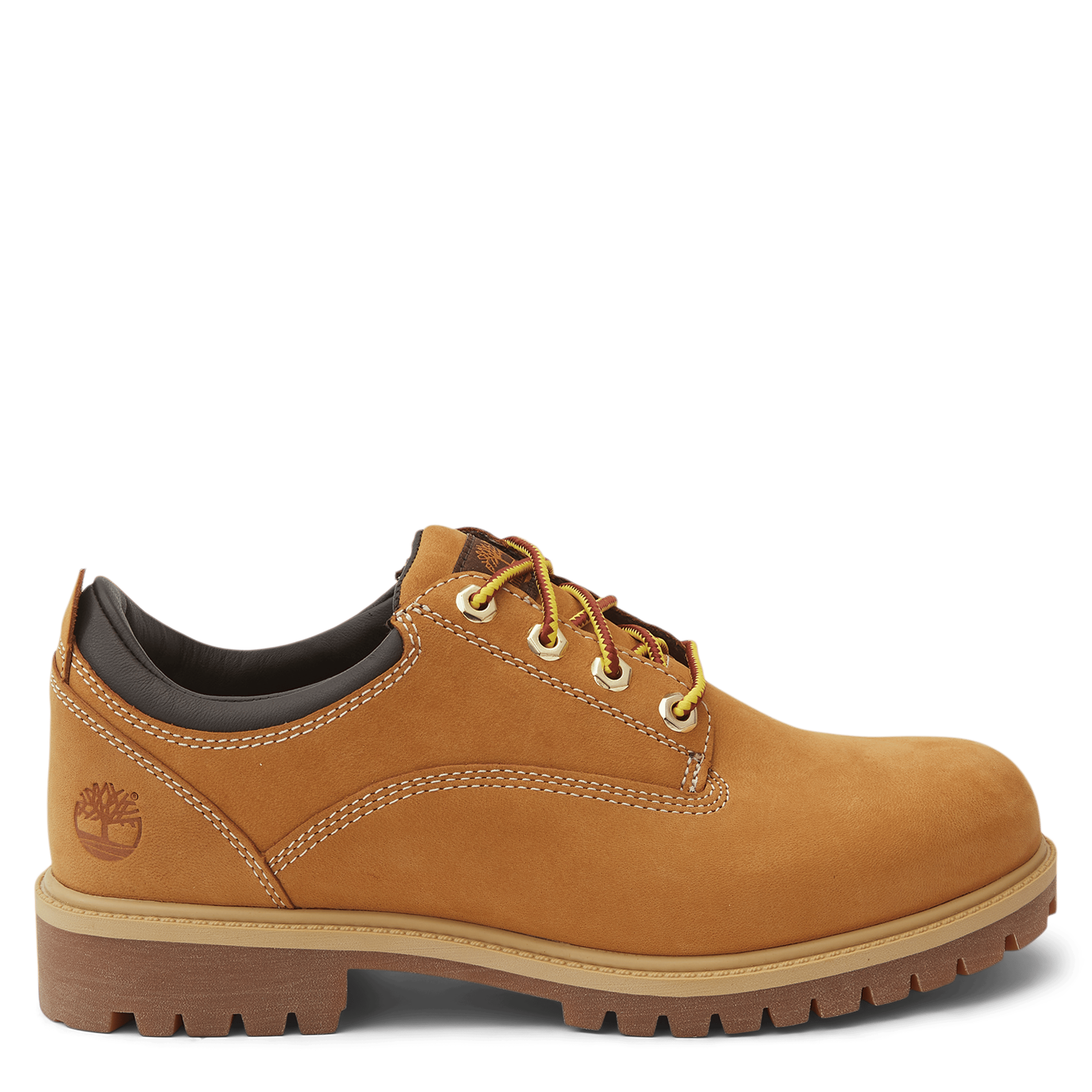 Lace Up Shoe