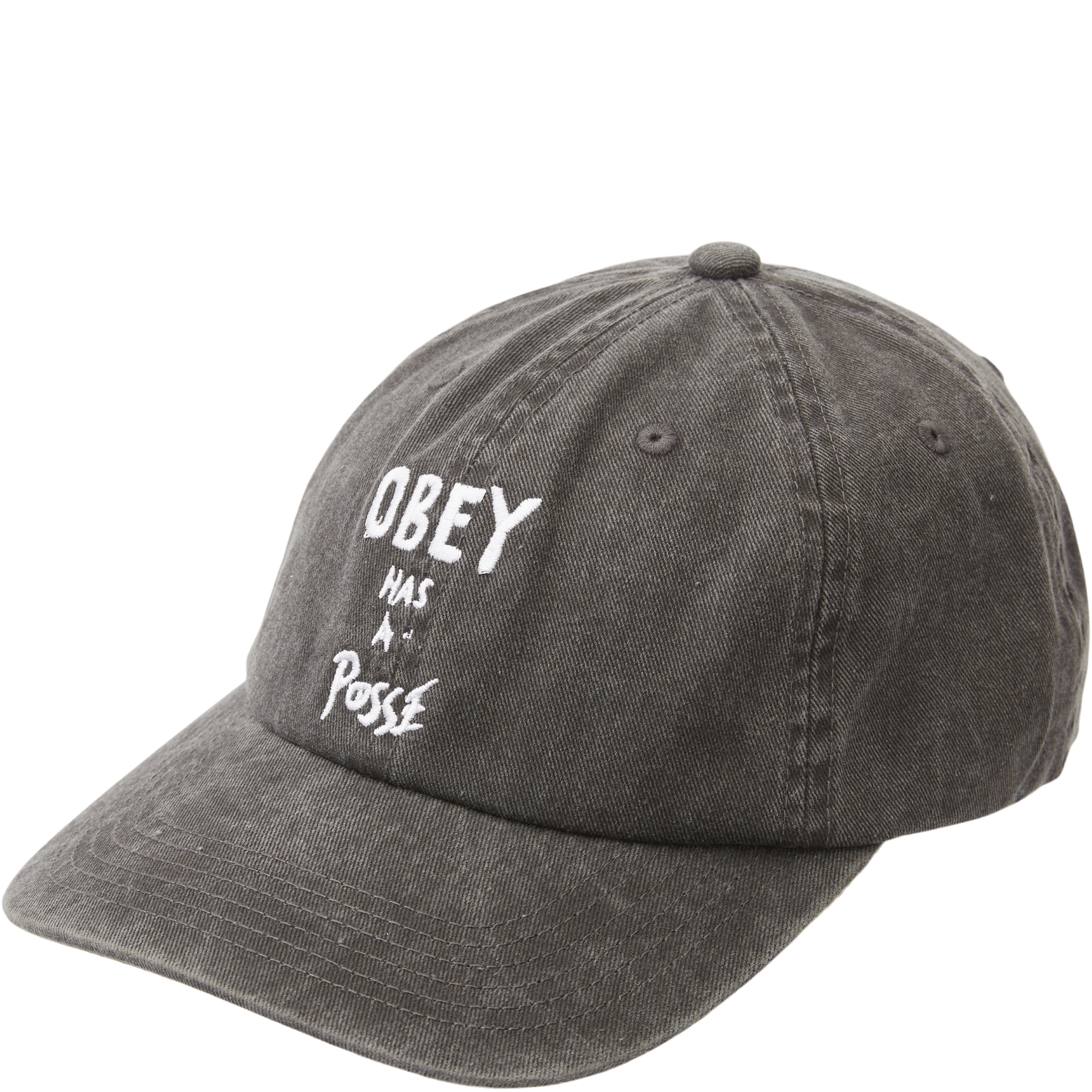 Pigment Posse Panel Cap SORT Obey €19